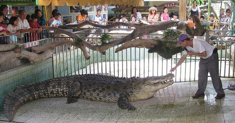 7-25-1.jpg 7-25-1.jpg