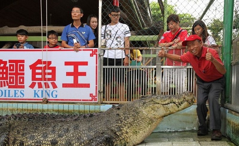 7-25-2.jpg 7-25-2.jpg