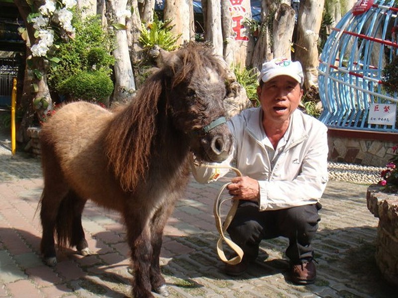 7-25-4.jpg 7-25-4.jpg