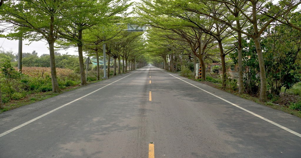 11-16-4.jpg 11-16-4.jpg