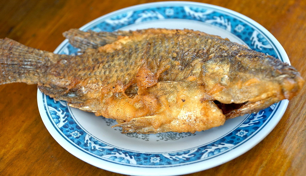 27.JPG 27.JPG