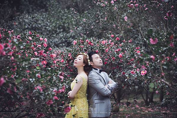 婚紗攝影工作室,婚紗攝影推薦,婚紗攝影價格,婚紗攝影台南,婚紗攝影 台南,婚紗攝影南部,婚紗攝影 南部,台南 婚紗攝影,台南婚紗攝影,婚紗攝影 推薦