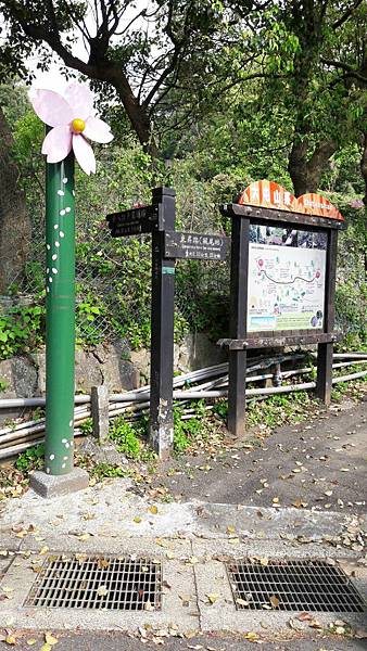(112北投區)風尾步道 十八份拐圳步道🌸 不用人擠人的賞櫻 (112北投區)風尾步道 十八份拐圳步道🌸 不用人擠人的賞櫻