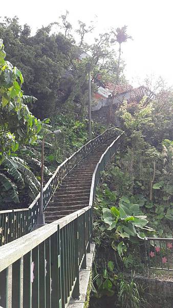 (112北投區)風尾步道 十八份拐圳步道🌸 不用人擠人的賞櫻 (112北投區)風尾步道 十八份拐圳步道🌸 不用人擠人的賞櫻