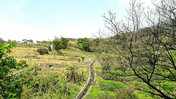 (112北投區)風尾步道 十八份拐圳步道🌸 不用人擠人的賞櫻 (112北投區)風尾步道 十八份拐圳步道🌸 不用人擠人的賞櫻