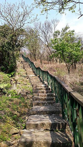 (112北投區)風尾步道 十八份拐圳步道🌸 不用人擠人的賞櫻 (112北投區)風尾步道 十八份拐圳步道🌸 不用人擠人的賞櫻
