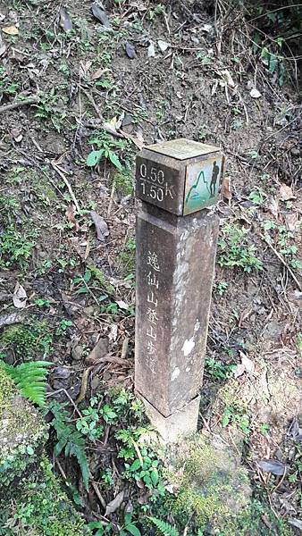 1523078264442 1523078264442