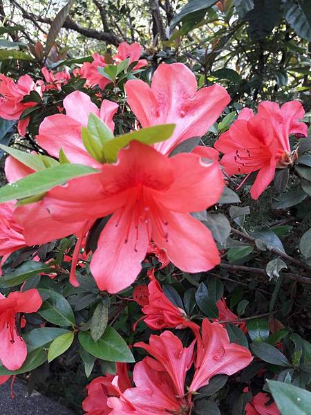 1523078266275 1523078266275