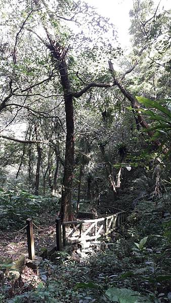 1523078300970 1523078300970