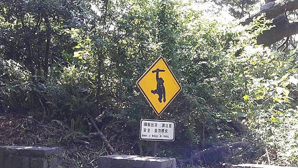 1528865144525 1528865144525