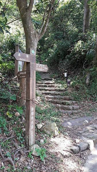 1528865146018 1528865146018