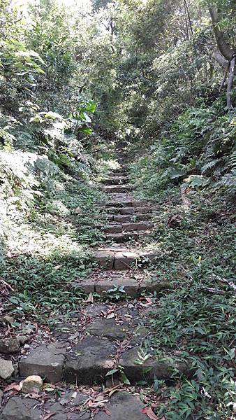 1528865147716 1528865147716