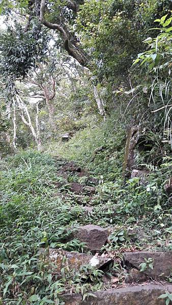 1528865150441 1528865150441