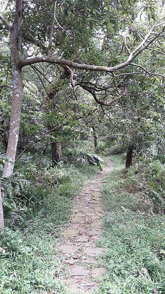 1528865176318 1528865176318