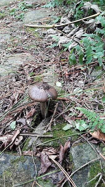 1528865178584 1528865178584