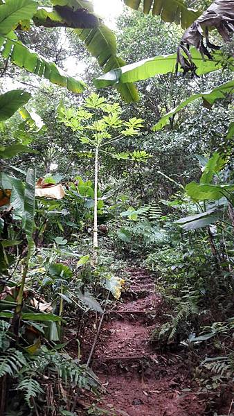 1529911028801 1529911028801