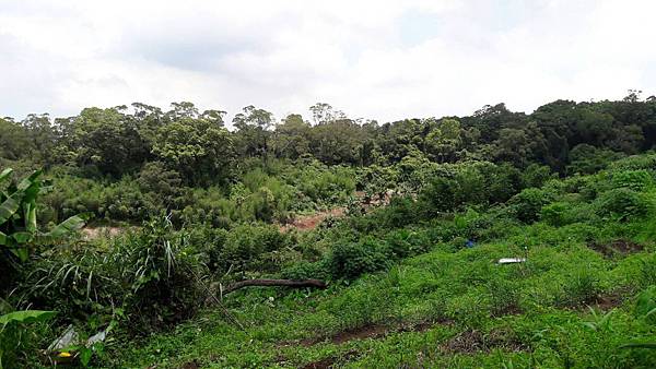 1529911039818 1529911039818