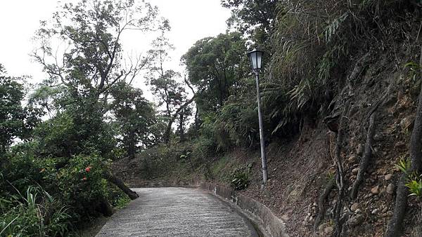 (221汐止區)多少樓台煙雨中🌁-錦峰山、四股埤  茄苳瀑布