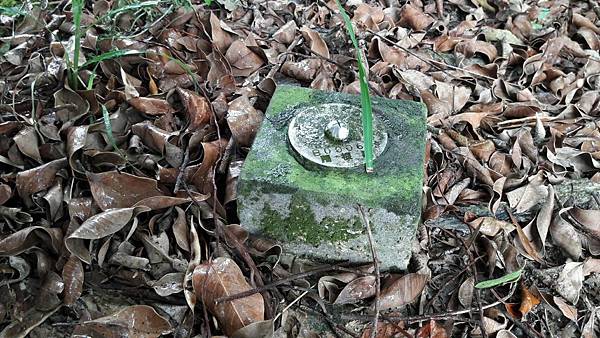 (221汐止區)多少樓台煙雨中🌁-錦峰山、四股埤  茄苳瀑布
