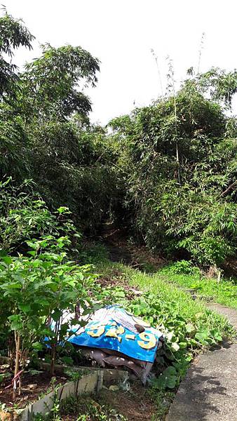 (221汐止區)多少樓台煙雨中🌁-錦峰山、四股埤  茄苳瀑布