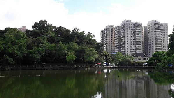 (221汐止區)多少樓台煙雨中🌁-錦峰山、四股埤  茄苳瀑布
