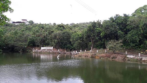 (221汐止區)多少樓台煙雨中🌁-錦峰山、四股埤  茄苳瀑布