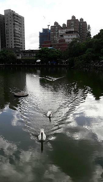 (221汐止區)多少樓台煙雨中🌁-錦峰山、四股埤  茄苳瀑布
