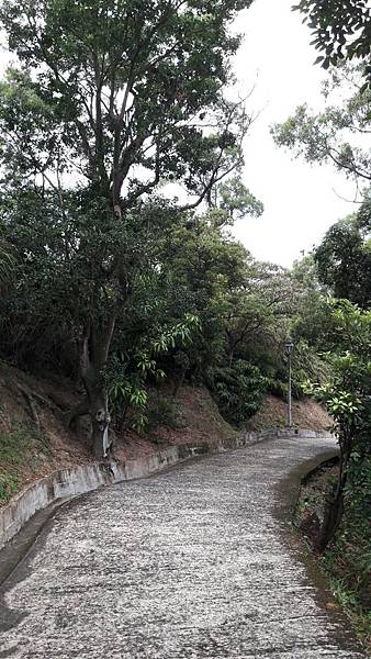 (221汐止區)多少樓台煙雨中🌁-錦峰山、四股埤  茄苳瀑布