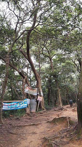 (326楊梅區)登山兼溯溪☔-福人登山步道