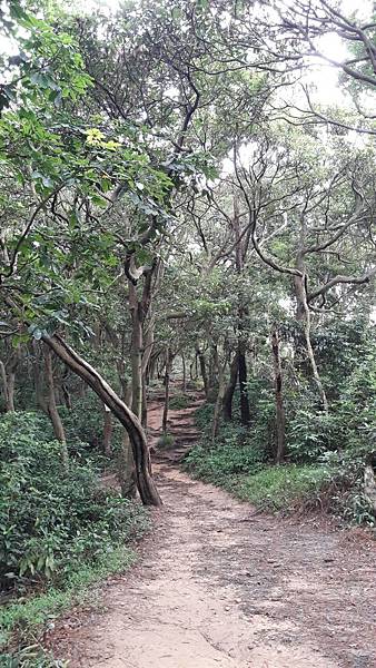 (326楊梅區)登山兼溯溪☔-福人登山步道