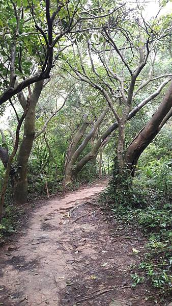 (326楊梅區)登山兼溯溪☔-福人登山步道