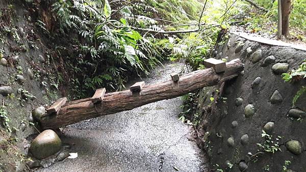 (326楊梅區)登山兼溯溪☔-福人登山步道