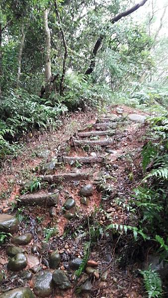 (326楊梅區)登山兼溯溪☔-福人登山步道