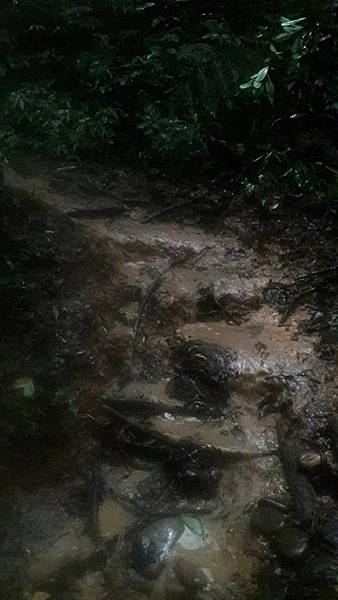 (326楊梅區)登山兼溯溪☔-福人登山步道