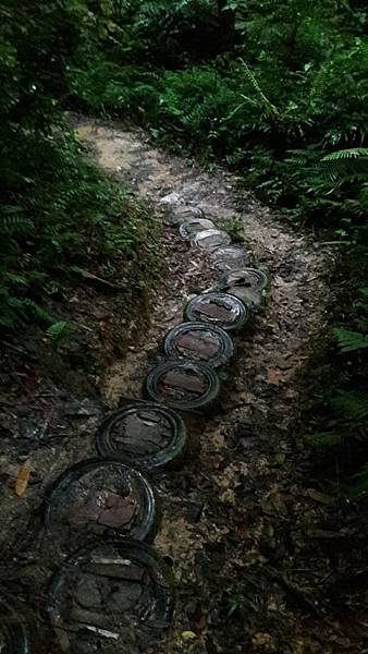 (326楊梅區)登山兼溯溪☔-福人登山步道