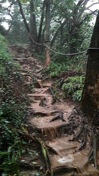 (326楊梅區)登山兼溯溪☔-福人登山步道