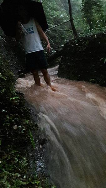 (326楊梅區)登山兼溯溪☔-福人登山步道