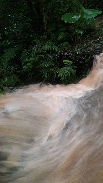 (326楊梅區)登山兼溯溪☔-福人登山步道