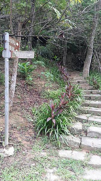 1535777905245 1535777905245