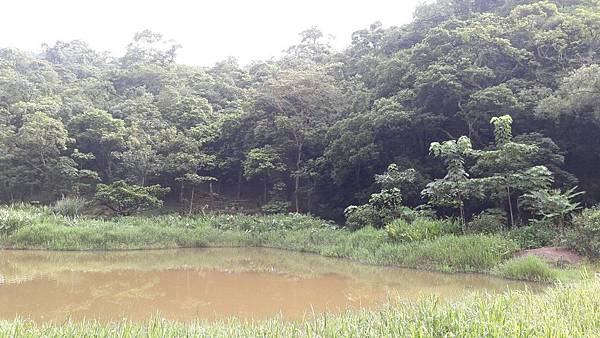 1535777917271 1535777917271