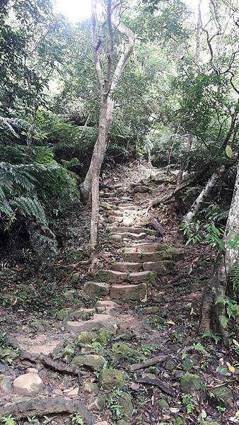 1535777918508 1535777918508