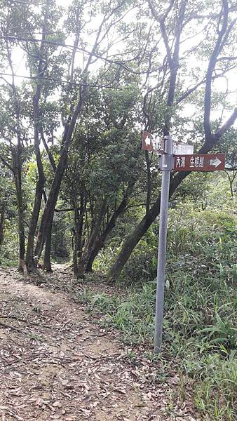 1535777927099 1535777927099