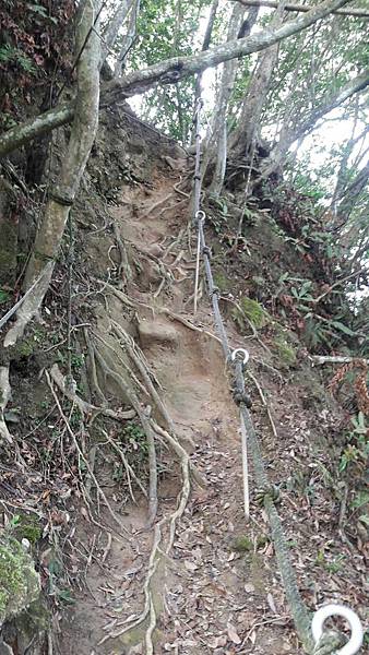 1535777950193 1535777950193