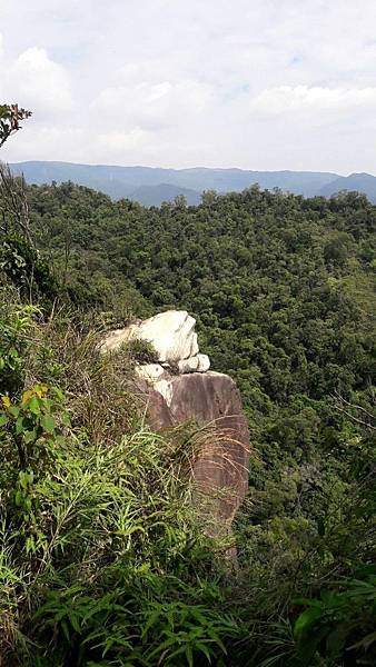 1535777978866 1535777978866