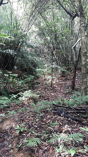 1535778002588 1535778002588