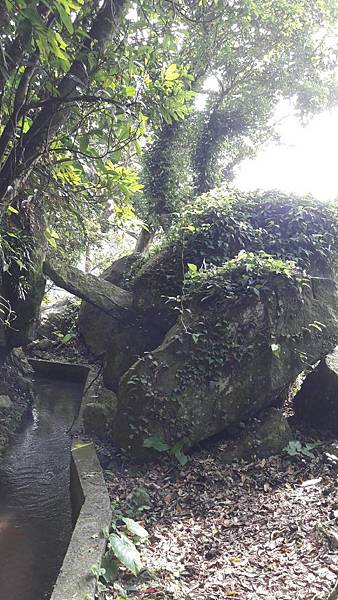 1537446972199 1537446972199