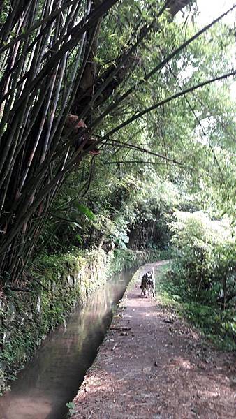 1537446979461 1537446979461