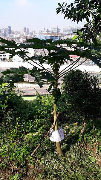 20161213_101344 20161213_101344