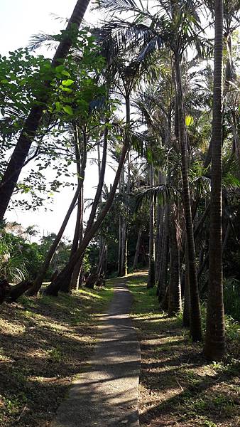 20161213_102128 20161213_102128