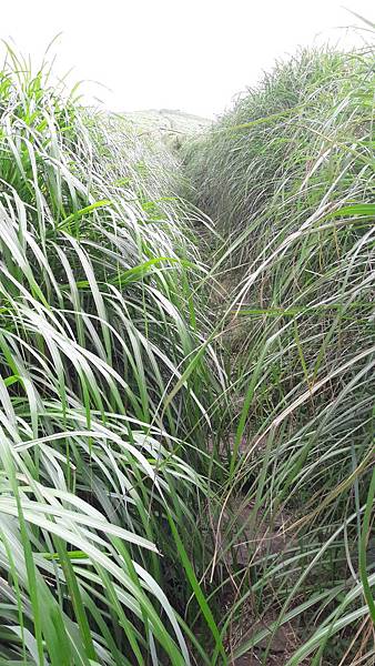 20190617_153913 20190617_153913